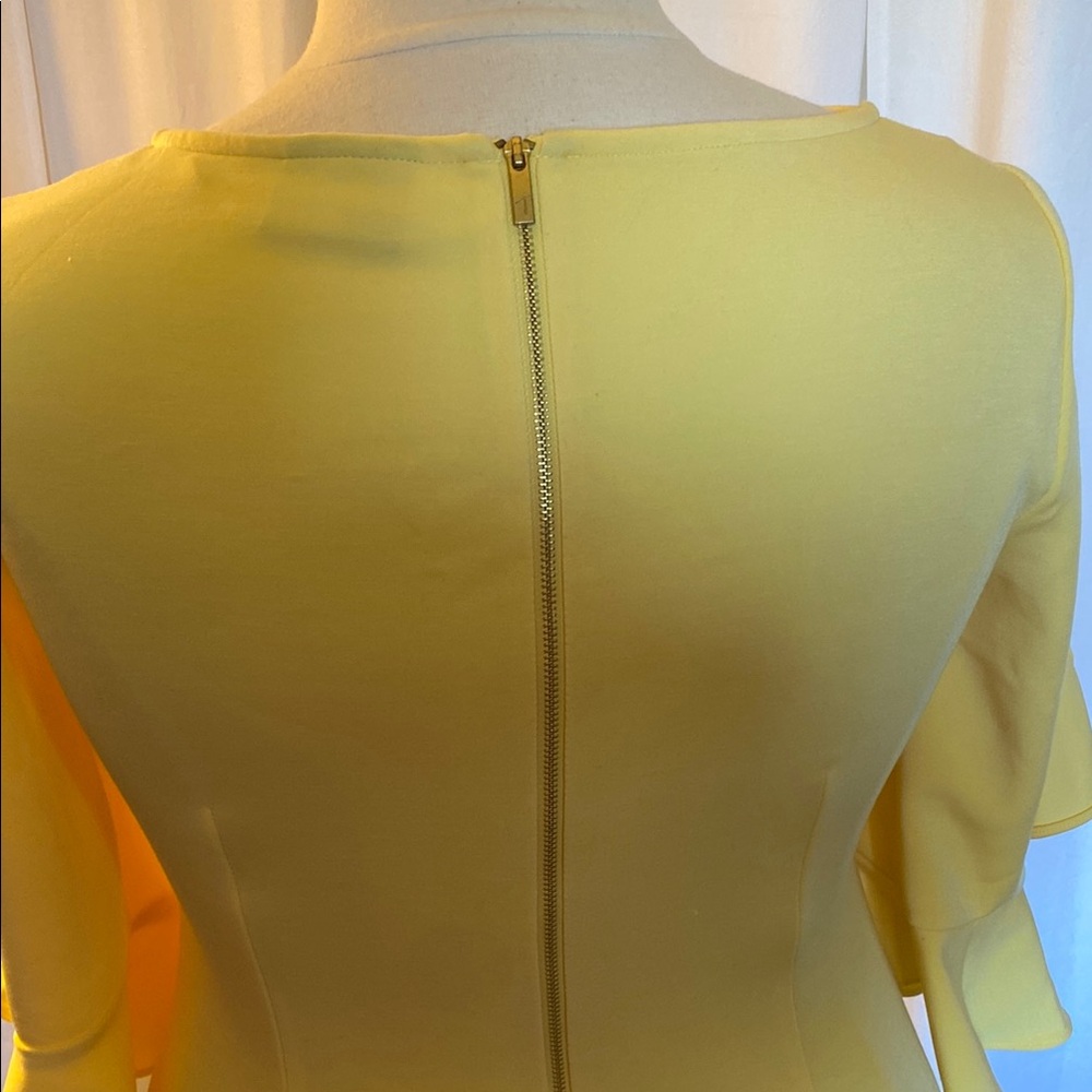 Yellow Ruffle Sleeve Dress - Picture 6 of 9